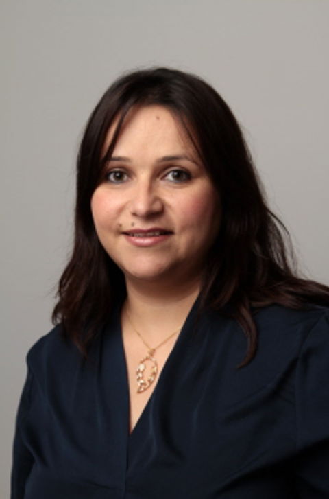 Konsulent Valle Hovin vgs